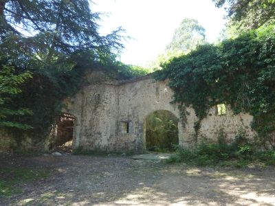 Château sauvage 

